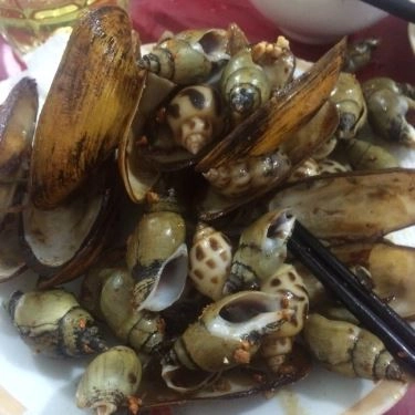 Tổng hợp- Quán Ăn Ốc Hòa - Ốc Bình Dân