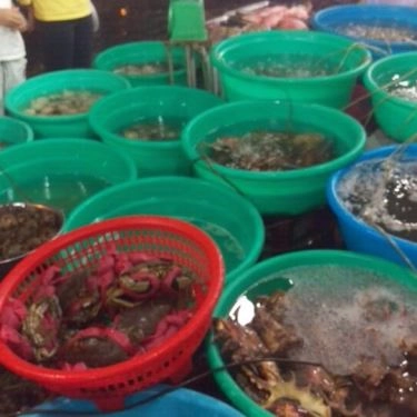 Tổng hợp- Quán Ăn Ốc Hương - Tháp Bà