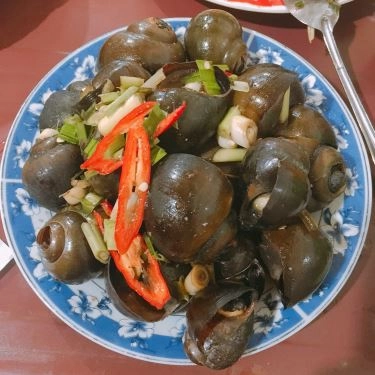 Tổng hợp- Quán Ăn Ốc Hút Hạnh