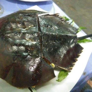 Tổng hợp- Quán Ăn Ốc Khánh - Thiên Phước
