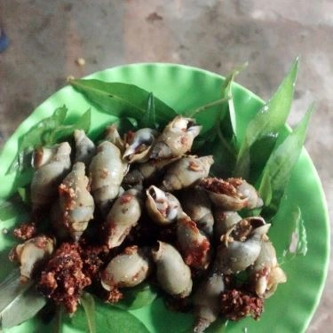 Tổng hợp- Quán Ăn Ốc Kiều