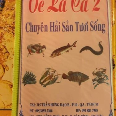 Tổng hợp- Quán Ăn Ốc La Cà Quán