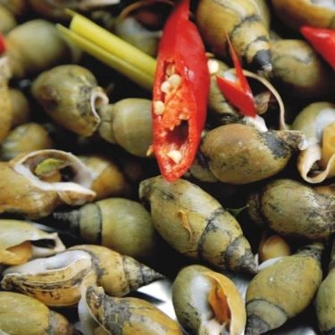 Món ăn- Quán Ăn Ốc Lâm - Hoàng Sa
