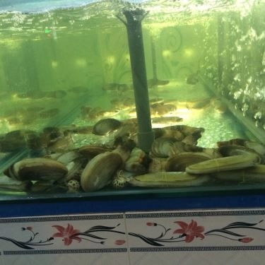 Tổng hợp- Quán Ăn Ốc Len - Bạch Đằng