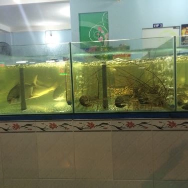 Tổng hợp- Quán Ăn Ốc Len - Bạch Đằng