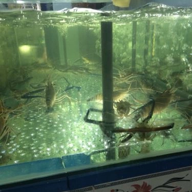 Tổng hợp- Quán Ăn Ốc Len - Bạch Đằng