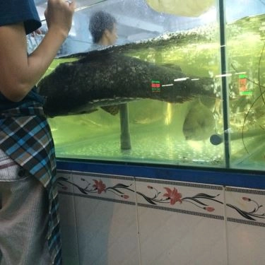 Tổng hợp- Quán Ăn Ốc Len - Bạch Đằng