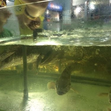 Tổng hợp- Quán Ăn Ốc Len - Bạch Đằng