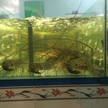 Tổng hợp- Quán Ăn Ốc Len - Bạch Đằng