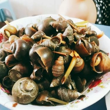 Món ăn- Quán Ăn Ốc Luộc - Hoàng Như Tiếp