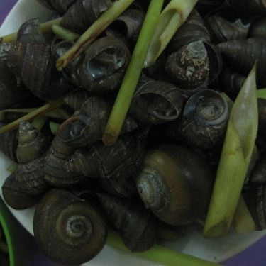 Món ăn- Quán Ăn Ốc Luộc, Trứng Cút Lộn - Yên Hòa