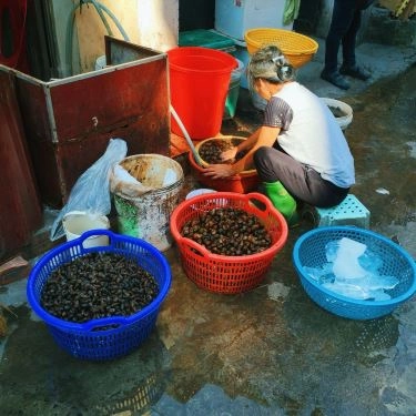 Tổng hợp- Quán Ăn Ốc Luộc - Hoàng Như Tiếp