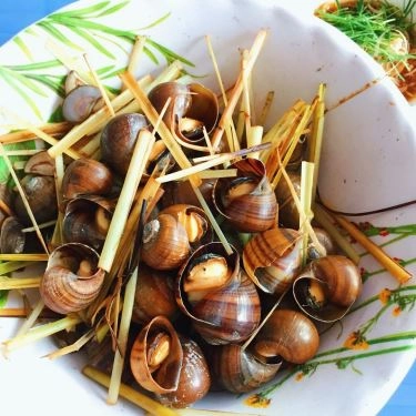 Món ăn- Quán Ăn Ốc Luộc - Hoàng Như Tiếp