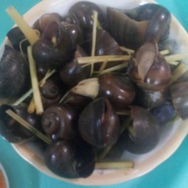 Món ăn- Quán Ăn Ốc Luộc Chùa Láng