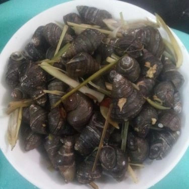 Món ăn- Quán Ăn Ốc Luộc Chùa Láng