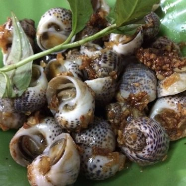 Món ăn- Quán Ăn Ốc Mập Quán - Huỳnh Tấn Phát