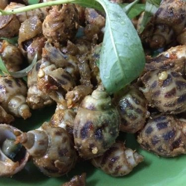 Món ăn- Quán Ăn Ốc Mập Quán - Huỳnh Tấn Phát