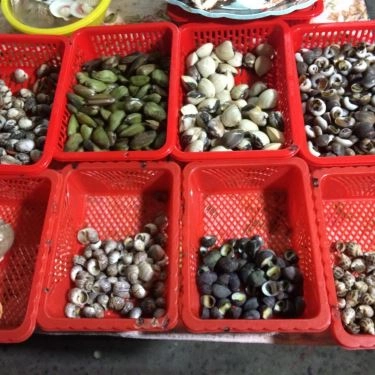 Tổng hợp- Quán Ăn Ốc Mập Quán - Huỳnh Tấn Phát