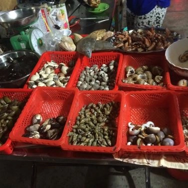 Tổng hợp- Quán Ăn Ốc Mập Quán - Huỳnh Tấn Phát