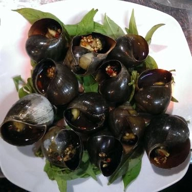 Món ăn- Quán Ăn Ốc Mập Quán - Phan Văn Trị