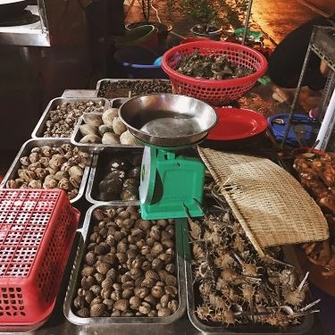 Tổng hợp- Quán Ăn Ốc Mút & Chân Gà Nướng - Trần Đại Nghĩa