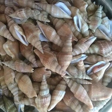 Tổng hợp- Quán Ăn Ốc Mỹ - Lương Sơn