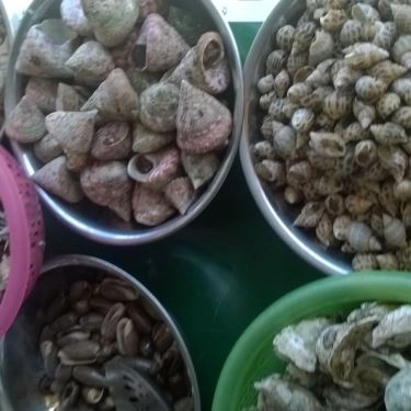 Tổng hợp- Quán Ăn Ốc Mỹ - Lương Sơn