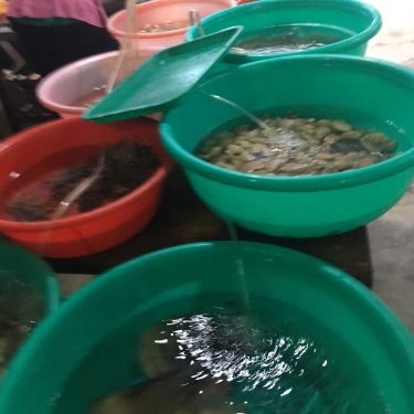 Tổng hợp- Quán Ăn Ốc Mỹ - Lương Sơn