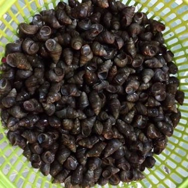 Món ăn- Quán Ăn Ốc Ngon Ninh Bình