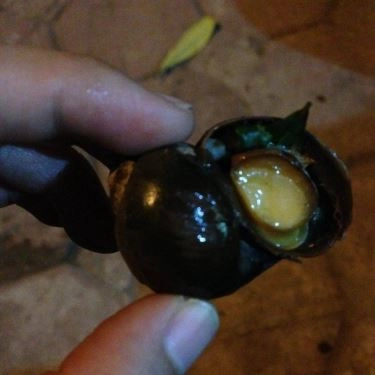 Món ăn- Quán Ăn Ốc Nướng - Bế Văn Đàn