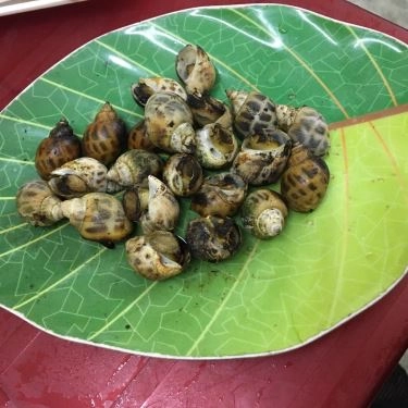 Món ăn- Quán Ăn Phước Đạt - Quán Ốc