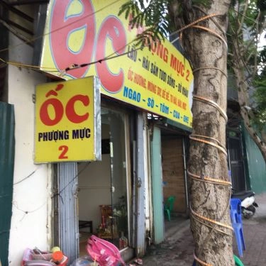 Tổng hợp- Quán Ăn Phượng Mực - Trích Sài