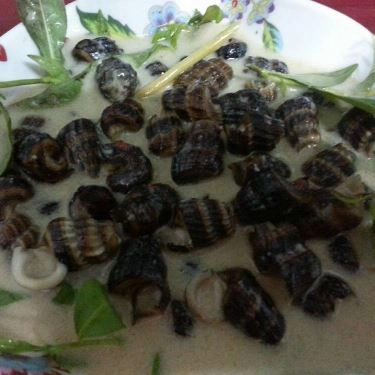 Món ăn- Quán Ăn Ốc Như - Thiên Phước