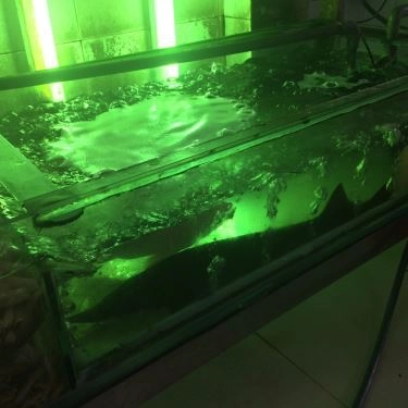 Tổng hợp- Quán Ăn Hải Sản Quý Thành