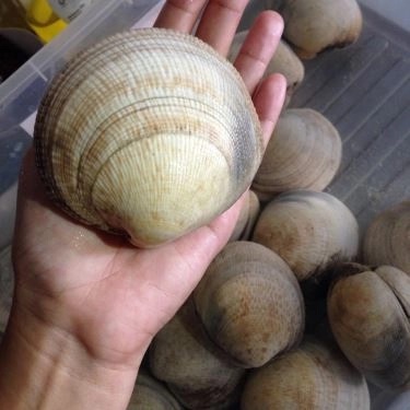 Tổng hợp- Quán Ăn Ốc Quỳnh - Nguyễn Thượng Hiền