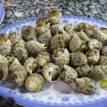 Món ăn- Quán Ăn Ốc Sinh Viên Quán
