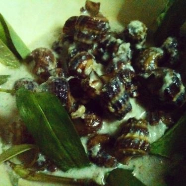 Món ăn- Quán Ăn Ốc Thanh Trúc - Cư Xá Phú Lâm B