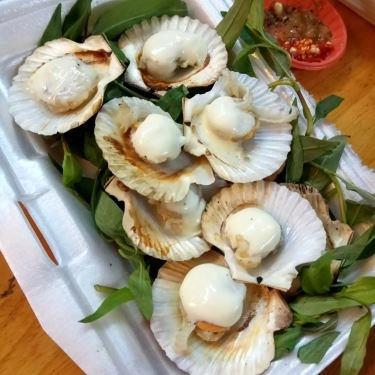 Tổng hợp- Quán Ăn Ốc Thảo
