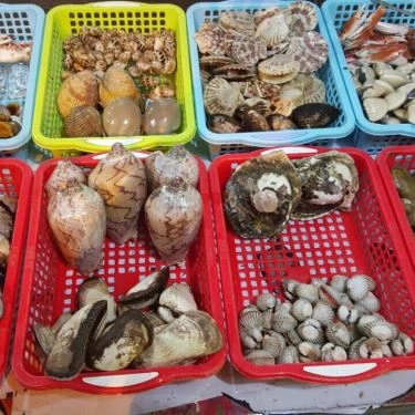 Tổng hợp- Quán Ăn Quán Ốc Thương