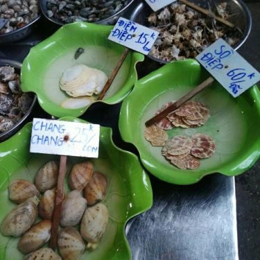 Tổng hợp- Quán Ăn Ốc Thủy Dương - Lạch Tray