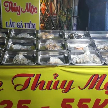 Tổng hợp- Quán Ăn Ốc Thủy Mộc & Lẩu Gà Tiềm