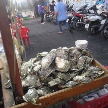 Tổng hợp- Quán Ăn Ốc Trúc Xinh