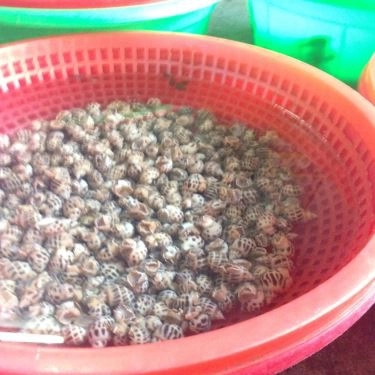 Tổng hợp- Quán Ăn Ốc Tư Danh