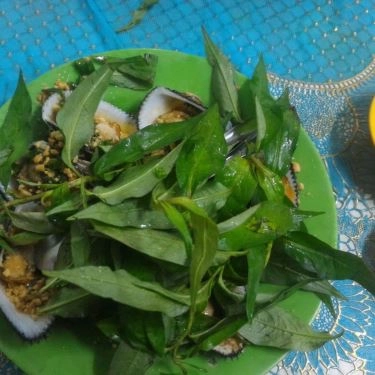 Tổng hợp- Quán Ăn Ốc Tư Hằng - Đường Số 19