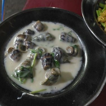 Tổng hợp- Quán Ăn Ốc Tuấn - Cao Đạt