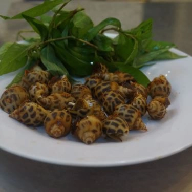 Món ăn- Quán Ăn Ốc Tuyết