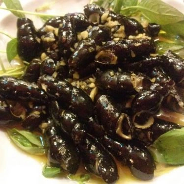 Tổng hợp- Quán Ăn Ốc Xinh