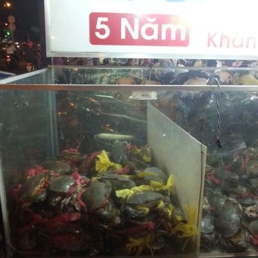 Tổng hợp- Quán Ăn Ống Tre - Cua Ngon