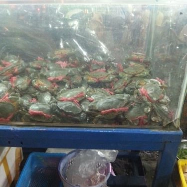 Tổng hợp- Quán Ăn Ống Tre - Cua Ngon