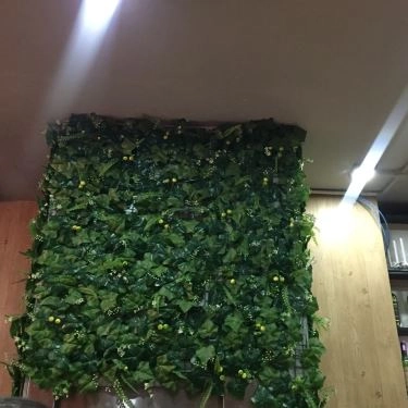 Tổng hợp- Quán Ăn Pasta Paradise - Phan Xích Long